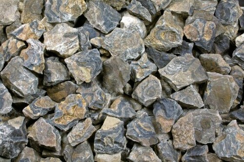 Stromatolith aus bolivien - stromatolith,
