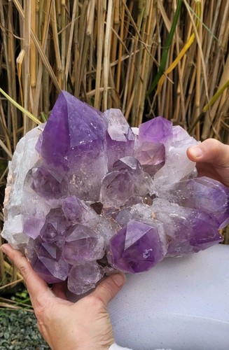 Amethyst spitze - amethyst,